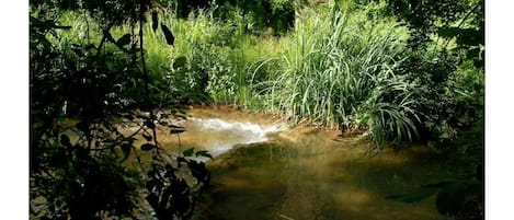 Terrain de l’hébergement 