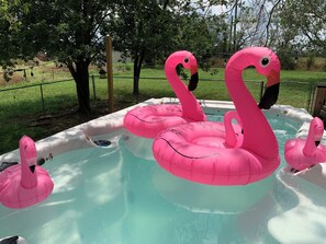 Swim Spa