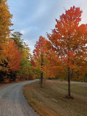 driveway looking towards road