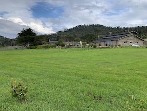 The expansive property (only green in the winter & spring)