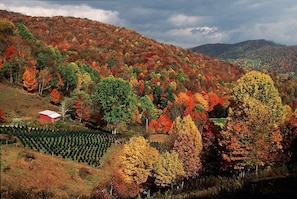 Ashe County