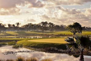 Golf Area