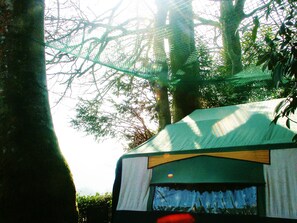 Huge netting above tent/sitting area to protect against falling sticks