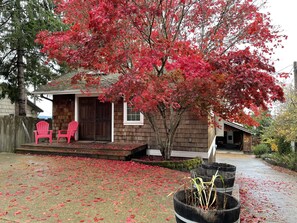 Fall colors