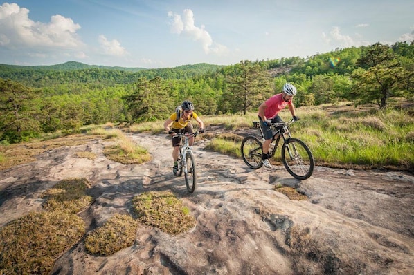 Dupont Forest nearby