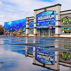 Daytona Aquarium & Rainforest Adventure (Family Friendly Attraction)