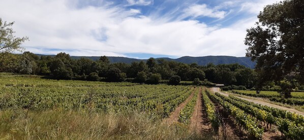 Terrain de l’hébergement 