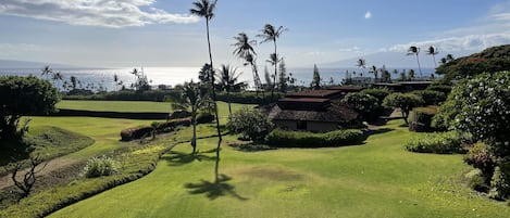 View from Primary lanai
