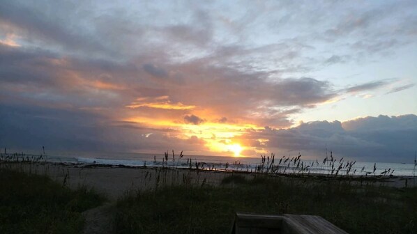 Strand