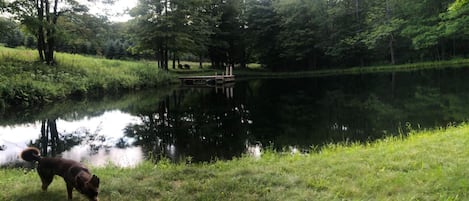 Beautiful pond for swimming, fishing and relaxing next too. 