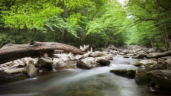 mountainloft-smoky-mountain-stream.jpg