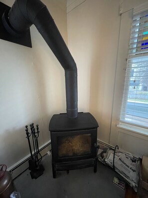 High Efficiency Wood Burning Stove (not the principal source of heat - FYI)