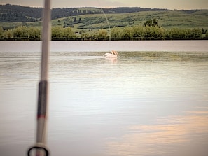 8 minute drive to fishing in the summer/fall.