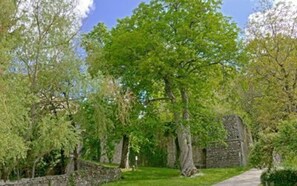 casa-di-lilli-vivo-d'orcia-vacation-home-external