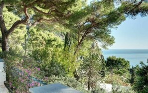 Balcony / Terrace / Patio, Garden
