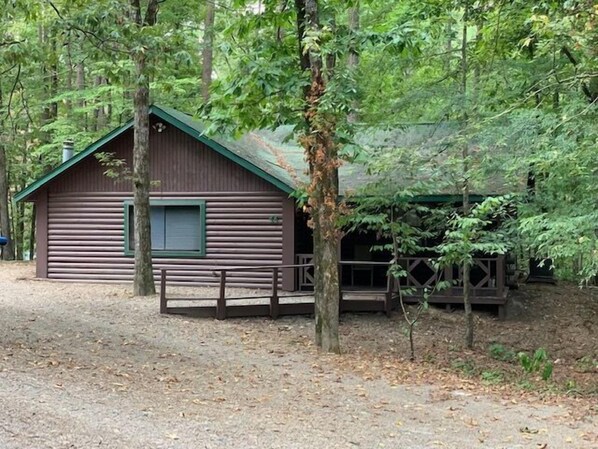 image5 (1)