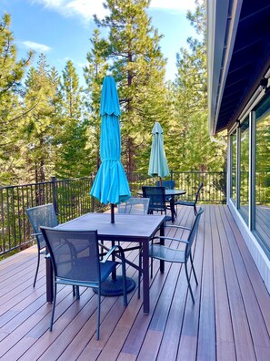 Relax under Pine Trees