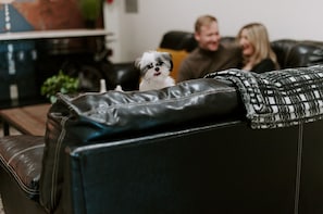 Don't leave your furry friend at home; bring them along for the ride.