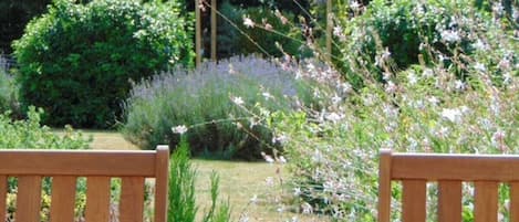 view from terrace onto back garden