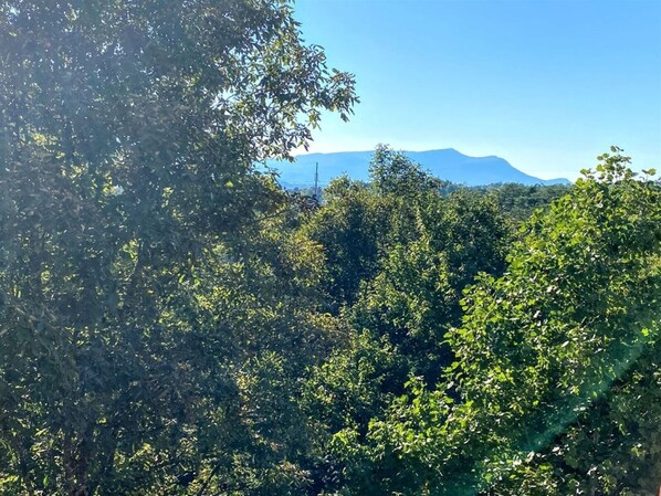Deck View