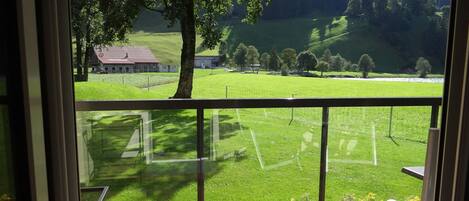 Pflanze, Eigentum, Blatt, Natur, Schatten, Baum, Grundstueck, Gras, Vegetation, Natürliche Landschaft