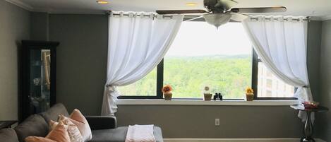 Panoramic window in the Living room!