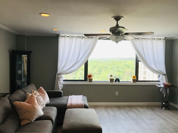 Panoramic window in the Living room!