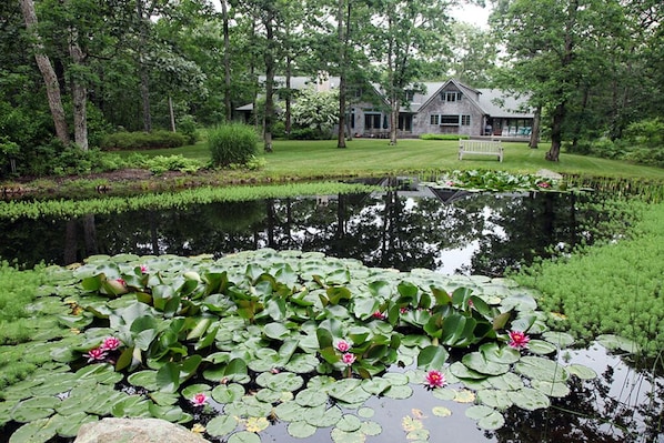 Beautiful pond with lily pads in your front yard