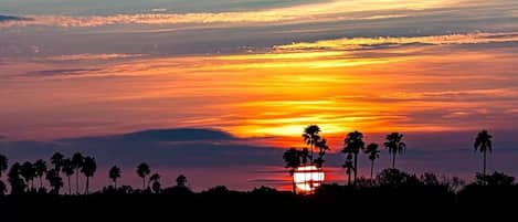 NSB local Photographer Steve Trofatter 
www.stevetrofatterphotography.com