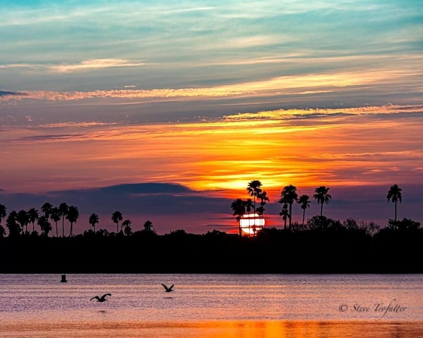 NSB local Photographer Steve Trofatter
www.stevetrofatterphotography.com