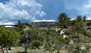 Outer Reef from the top of the dune