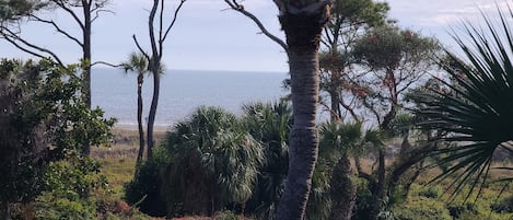 View of the ocean!