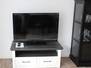 Television