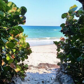 Jupiter Beach is a short walk from Coco, or  drive with plenty of free parking