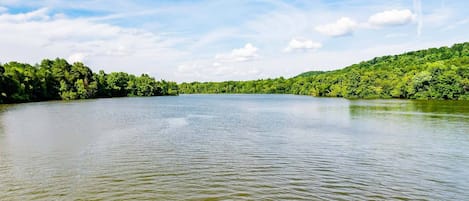 Bring your boat and enjoy the lake! Public access only 1/4 mile from the house on Old Kingston Road!