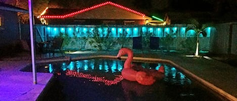 Hang out at night with Felix the Flamingo