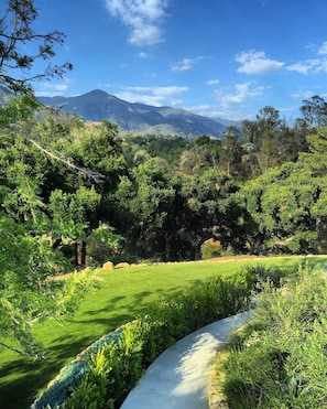 Magical backyard