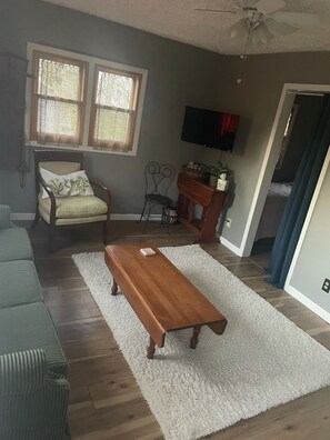 Living room with pull out couch 