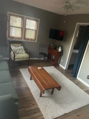 Living room with pull out couch