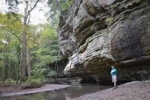 Kickapoo Cavern State Park!