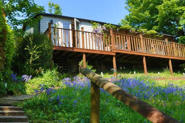 Front path approach to Treetops