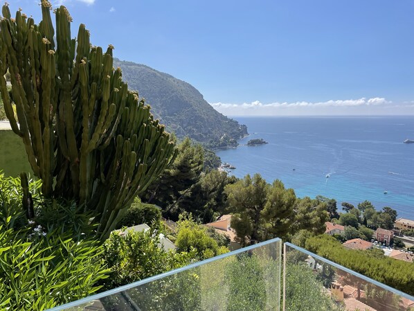 Vue terrasses
