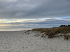 Dowses beach sunrise, butter soft sand.