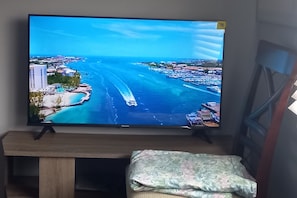 Fernseher