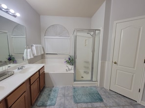 Master bathroom - Spa tub and shower