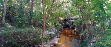 Creek meandering through complex and Ring Park across the street.