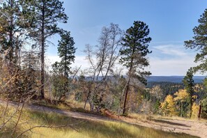 Wooded View