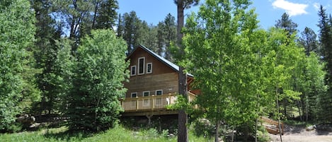 Cabin summer view.