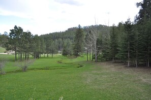 Boendeområde