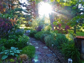 Summer Patio garden